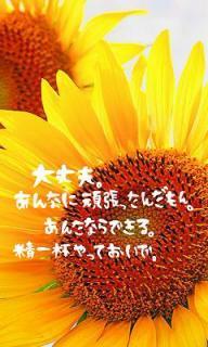 ちぃ助