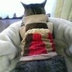 chuheeのプロフィール