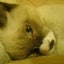 画像 PANDAのブログのユーザープロフィール画像