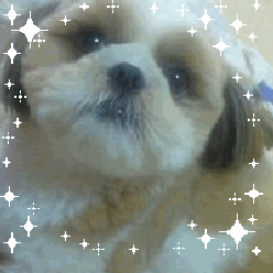 Gustavさんのプロフィールページ Gustavさんのプロフィールページ