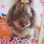 cinamonのサムネイル