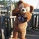 結局ディズニー好きかな ~USAたまblog~