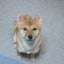 アンディのサムネイル