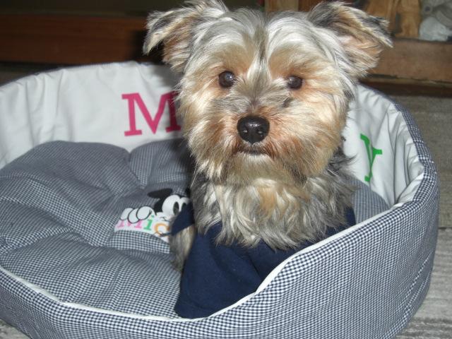 micky9