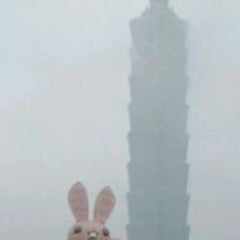 籐のプロフィール