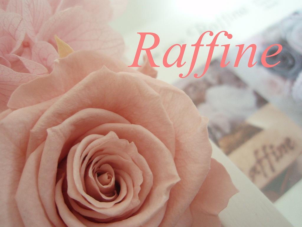 新品未使用RAffINEの4点セット+spbgp44.ru