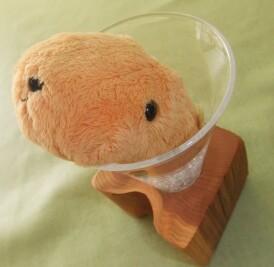 カピバラ酒おやじ
