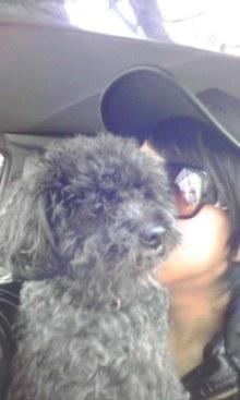 Shohei