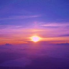 光に勝利あれ!のプロフィール