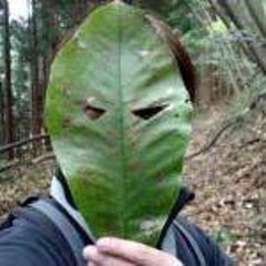 yusaのプロフィール