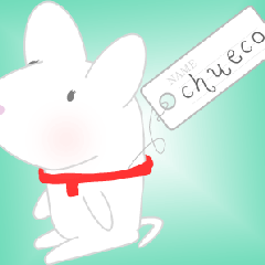 ちゅーこのプロフィール
