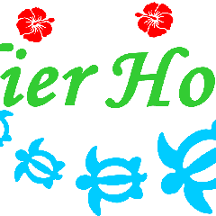 水引ホヌ ガラス エッチング マクラメ工房 Atelier Honu のブログです 水引ホヌ ガラス エッチング マクラメ工房 Atelier Honu のブログです