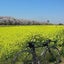 画像 心から 自転車と野鳥観察のユーザープロフィール画像