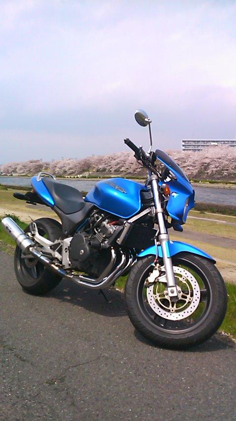 ヒロチー