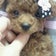 つくば市研究学園☆閑静な住宅街にある隠れ家的ネイル＆フラワーサロン★☆Salon de JeWELJeWEL☆★