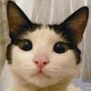 おし乃はん