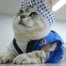 ここままのプロフィール