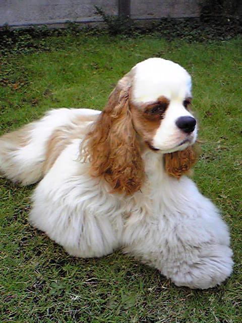 berrybeth