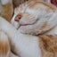 ゆうのサムネイル