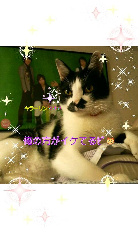 あおい