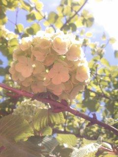 クリスタル☆りらっくす