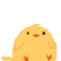 愛鳥奮闘記