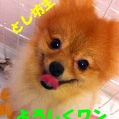toshibouzuのプロフィール