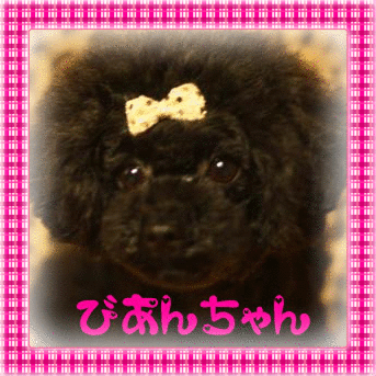 びあんママ