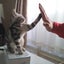 画像 はっちのブログのユーザープロフィール画像