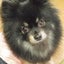 BINGXUEのサムネイル
