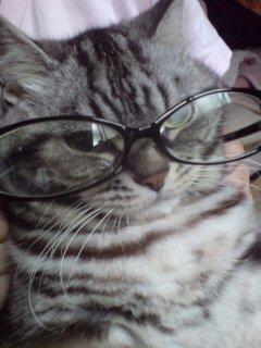natsu（´・∀・｀）