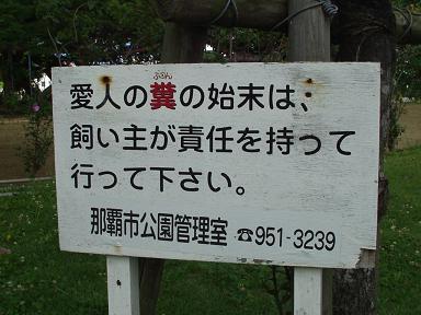 どうだ 明るくなったろう 本日快晴