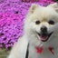 フヂタのサムネイル