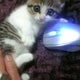 マツジュンのおすすめのサムネイル