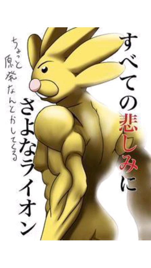 笑虎 m(_ _)m
