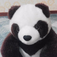 満月西瓜のプロフィール