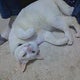 うかのおすすめのサムネイル