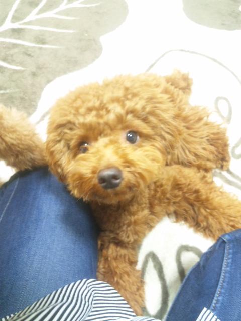 むぅさん