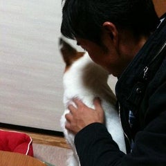 的場かなめ（川崎町議会議員）のプロフィール