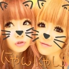 ▼. ま お 