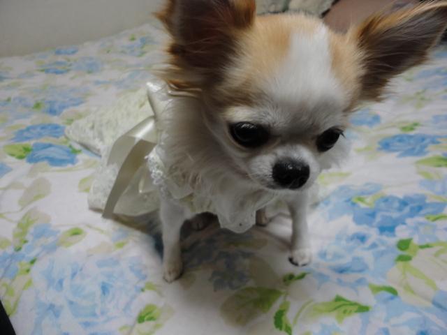 ゆかちん