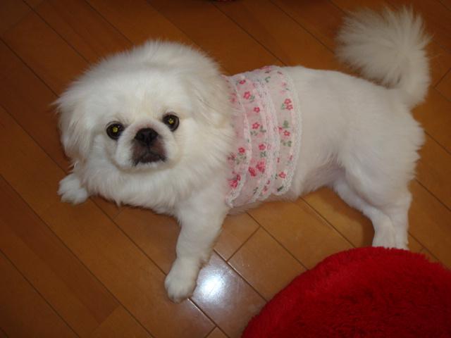 アンヌ