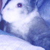 @http://ameblo.jp/xzetsubou