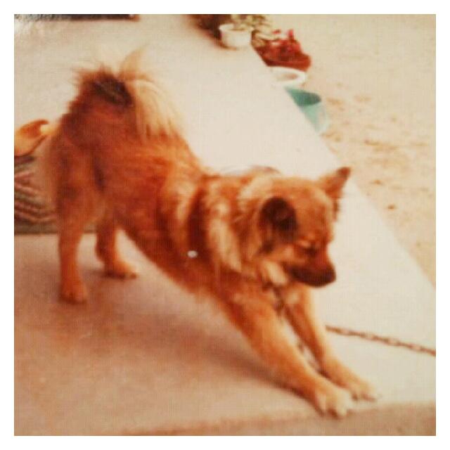 最近思うこと BEADSHOLIC