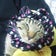 あらっフォ～のブログk(^。^)y-.。o○