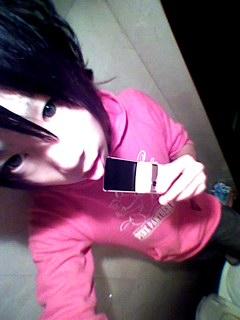 紫燕