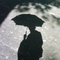 八つ橋アヤメのプロフィール