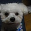 毎々のサムネイル