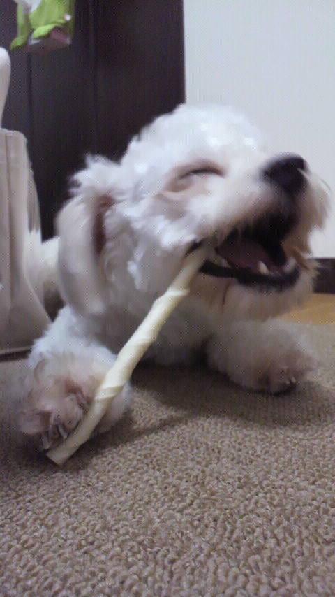 cheeese