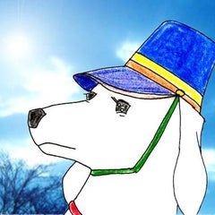 kapichanのプロフィール
